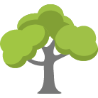 Niceville Tree Trimming